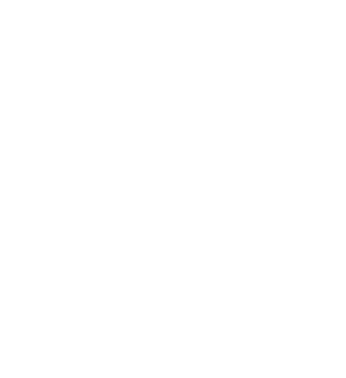 Fame Ninja